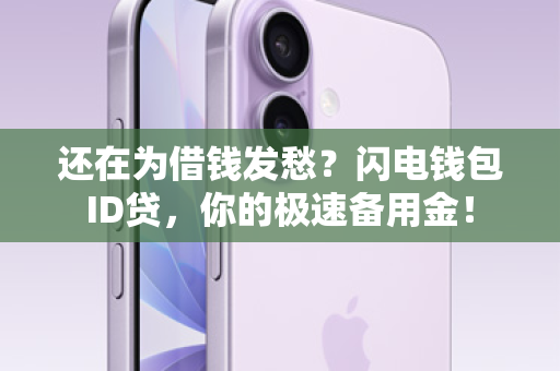还在为借钱发愁？闪电钱包ID贷，你的极速备用金！