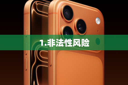 1.非法性风险