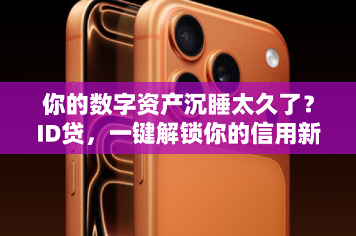 你的数字资产沉睡太久了？ID贷，一键解锁你的信用新价值！